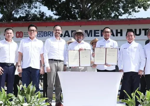 Sinergi BRI dalam Program Sapi Merah Putih Perkuat Swasembada